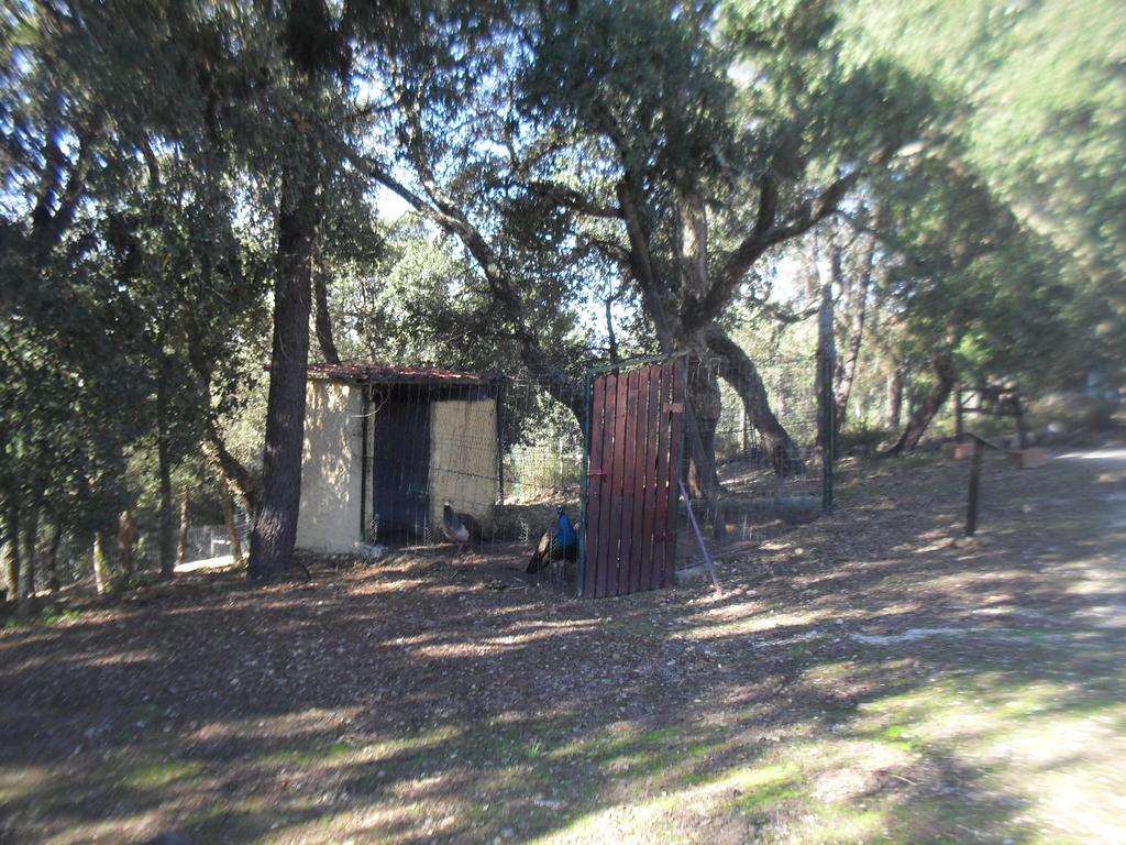 Willa Quinta Do Outeiro Alto Constância Zewnętrze zdjęcie