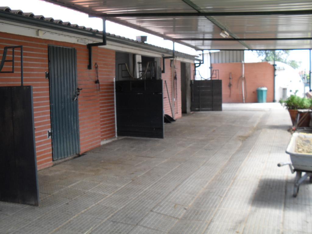 Willa Quinta Do Outeiro Alto Constância Zewnętrze zdjęcie