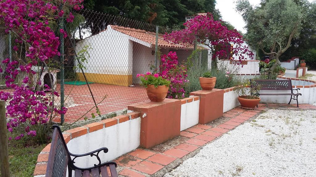 Willa Quinta Do Outeiro Alto Constância Zewnętrze zdjęcie