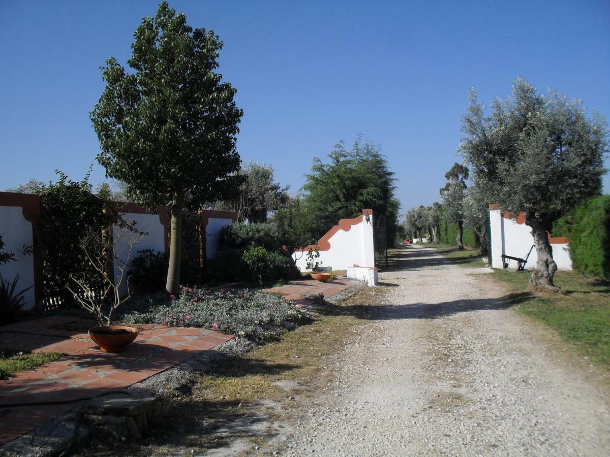 Willa Quinta Do Outeiro Alto Constância Zewnętrze zdjęcie